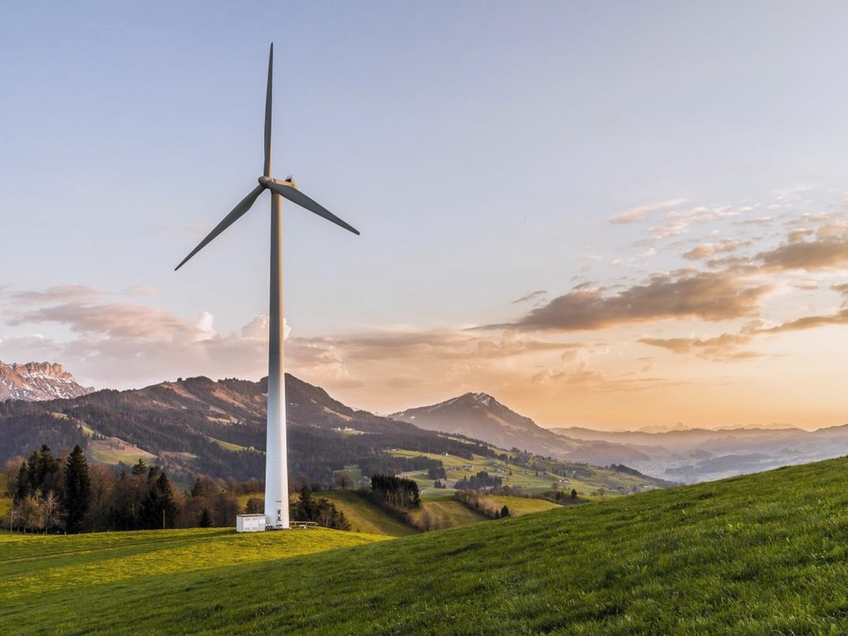 Ledarutveckling för Energi & Miljö